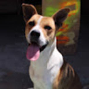 Meet your Posher, Artemisa